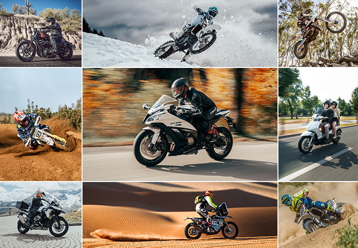 Moto Moto: Video Gallery